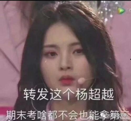 杨超越考试包过表情包,笑翻网友,揭秘学霸背后的神秘力量