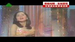 娱乐现场 王菲,娱乐现场闪耀焦点